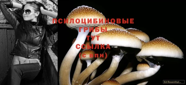 таблы Кодинск