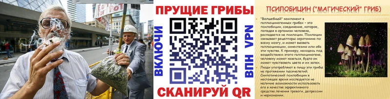 Галлюциногенные грибы Magic Shrooms  Купить закладки  Бабаево 